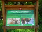 Obora Radany a zubr evropský. Několik cedulí nás seznamuje formou naučné stezky s jejich údělem, kdy byli zubři prakticky v přírodě vyhubeni.