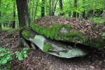 Za Kadovem dosáhneme, při marném hledání kamenné skalní mísy, nejvyššího bodu 528 m vysoké Hory.