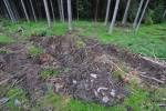 Vrchol Javorné je po napadení smrků kůrovcem částečně vytěžený. Těžká technika zde zanechala své nehezké stopy. Experiment nezasahování z l. zóny NP Šumava takto zasáhl i vzdálená místa.