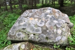Lesní cesta k Hadímu vrchu vede i kolem nádherně zbarvených kamenů, kdy abstraktním malířem je lišejník zeměpisný.