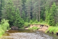 Podemletý břeh ukrajuje další metry a pomalu posouvá řeku k svahu zalesněného kopce.