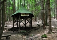 Česká studánka je příjemnou zastávkou. Výš už se smrčiny mění ve smíšený les s převahou buků. Cesta se tak stává barevnější a voňavější.