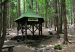 Česká studánka je příjemnou zastávkou. Výš už se smrčiny mění ve smíšený les s převahou buků. Cesta se tak stává barevnější a voňavější.