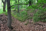 Archeologický průzkum zde odhalil pevné hradisko z 11. stol., které bylo pravděpodobně opuštěno po zbudování Rýzmberka. Oválné opevnění tvoří dva hluboké terasovitě umístěné příkopy a jádro akropole je obehnáno třetím hlubokým příkopem. 