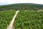 2,5 km dlouhá cesta na Stóg Izerski vede přes mělké sedlo Lacznik (1 066 m n. m.).