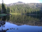 Jezero je ledovcového původu a je jední z osmi šumavských jezer. Velmi hezky jsou popsána na stránkách NP Šumava: http://www.npsumava.cz/cz/1507/sekce/ledovcova-jezera/