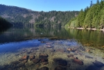 Černé jezero je největším karovým jezerem ledovcového původu na Šumavě a zároveň i největším jezerem v České republice, když odečteme vodní plochy vzniklé s přispěním člověka. Své jméno dostalo podle černé hladiny, které způsobuje až 9 metrů vysoká vrstva kalu, tvořená hlavně pylem z okolních jehličnanů. 