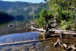Černé jezero nemá žádný viditelný přítok a je napájeno z podzemních pramenů vyvěrajících na úpatí Jezerní hory. Voda z jezera odtéká Černým potokem do řeky Úhlavy. Maximální hloubka zdánlivě bezedného jezera dosahuje úctyhodných 39,8 metrů. Současně je jezero nejníže položeným ze všech šumavských jezer, přestože se nachází v nadmořské výšce 1008 m.