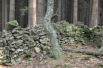U vrcholu Gerlovy paseky zůstala z minulosti tato bytelná zeď.
