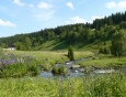 Teplá Vltava pod Kvildou