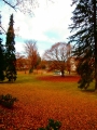 Park