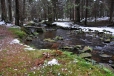 Losenice pramení asi 1,5 km severoseverozápadně od Přilby v nadmořské výšce 1 118 m n. m. Její tok tvoří od pramene až k soutoku s Otavou hranici Národního parku Šumava. Jde o jednu ze zlatonosných řek a v minulosti se zde zlato dobývalo. Důkazem jsou sejpy, které v okolí říčky můžete spatřit.