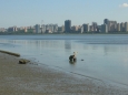 Tchaj-pej, okolí řeky Tan-šuej (Danshui)