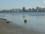 Tchaj-pej, okolí řeky Tan-šuej (Danshui)