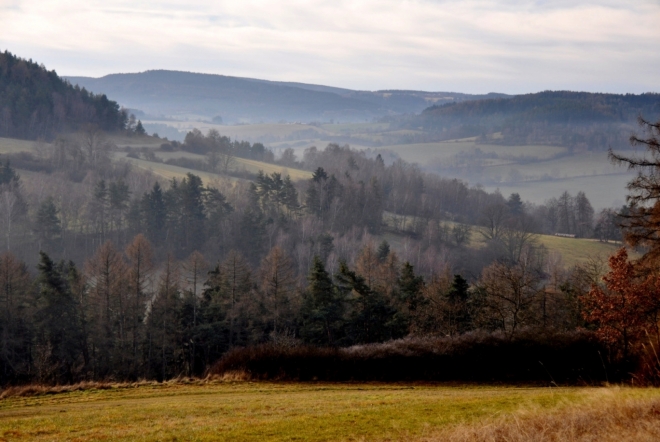 Výhledy k Tyterci (620 m n. m.).