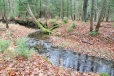 Werichovo chata je vlastně na ostrůvku, který vytvořila Ostružná a od ní se oddělující náhon bývalého mlýna.