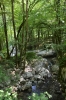 Drobný přítok řeky Tolminky, Triglavský národní park