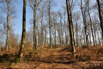 Pravý vrchol Čertovy hory však neleží ve stejnojmenné rezervaci, ale o necelý kilometr jižněji.