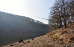 Na osamělém místě se dobře rybaří. Nebo pytlačí?