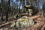 Skalky nad rybníkem (Čečeřín).