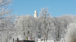 a ještě jedno zimní foto 