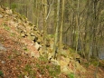 PR Karvanice.