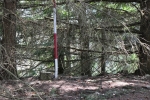 Vrchol Skalského vrchu (476 m n. m.).