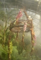 Ze stropu zavěšená konstrukce s orchidejemi