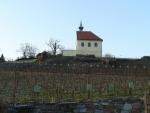 Spodní části venkovní expozice vévodí kaple svaté Kláry, pod níž se nachází stejnojmenná vinice.