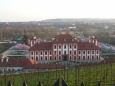 Trojský zámek pod vinicí
