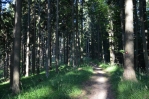 Cesta k Lovrenckým jezerům (Lovrenška jezera), Pohorje, Slovinsko