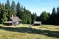 Cesta k Lovrenckým jezerům (Lovrenška jezera), Pohorje, Slovinsko