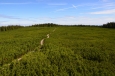 Lovrencká jezera (Lovrenška jezera), Pohorje, Slovinsko