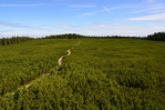 Lovrencká jezera (Lovrenška jezera), Pohorje, Slovinsko
