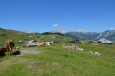 Velika Planina, Slovinsko