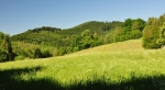 Nad Černou.