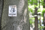 Slepičí hory volně navazují na Novohradské hory, jsou vlastně jejich podhůřím, a tak není divu, že i zde lze nalézt stopy rysa ostrovida, který se postupně vrací do naší přírody, kam odjakživa patřil.