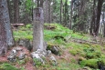 Polední vrch (1 053 m n. m.).