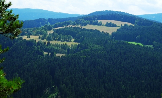 Sedelský vrch nad Srnín skrývá vyšší Spálený (1 013 m n. m.).