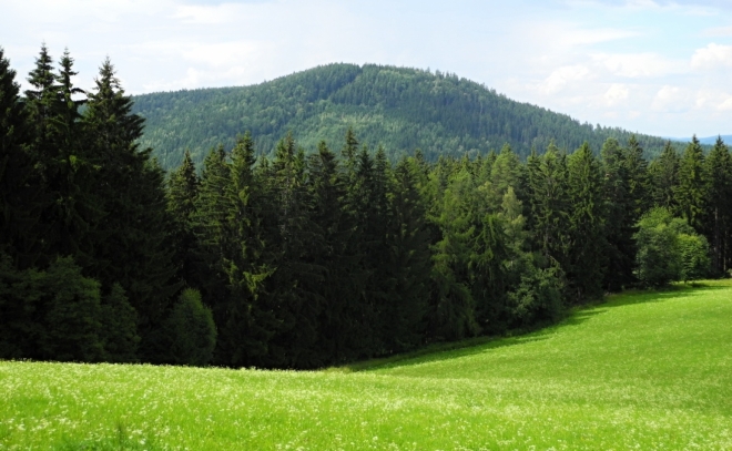 Radkovský vrch je vlastně pokračováním hřebene Křemelné. Hluboko pod ním se skrývá u Otavy Rejštejn.