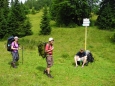 Sedlo pod Smrekovem je nedaleko vrcholu (1 441 m n. m.).