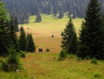 Pod Smrekovem.