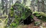 Vlčí kámen (883 m n. m.) je i přírodní rezervací Vlček, kde opět převažují hadcové skalky a na ně navazující biotop. Zde jsme ovšem v lese.
