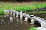 Písecký Kamenný most je nejstarším mostem ve střední Evropě. Pochází z 13. století.