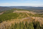 Hřeben plochého Poledníku se sfvažuje ke Skalce (1 238 m n. m.). Bohužel díky l. zóně, která tady už nic nezachrání, je krásný výhled na Prášilské jezero problematický. 