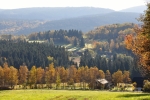 Mosau.
