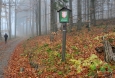 PR Jaronínská bučina.