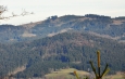 Knížecí stolec je nově zakreslen v mapách s výškou 1 236 m n.m. Je to po opravě původně zmiňované kóty 1 226 m n. m., kdy by byl sousední vrchol Lysé (1 228 m n. m.) o 2 m vyšší. Tak se o tom zmiňuji i v předešlých článcích na Šlápotech. Dle nových zjištění je však vrcholová skála o cca 10 m vyšší než bylo psáno. Atraktivní vrcholek s rozhlednou je tedy po zásluze nejvyšší horou Želnavské hornatiny.