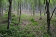 Národní park Bukové hory, cesta ze Szilvásváradu na Bálvány, Maďarsko