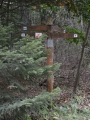 Národní park Bukové hory, cesta ze Szilvásváradu na Bálvány, Maďarsko
